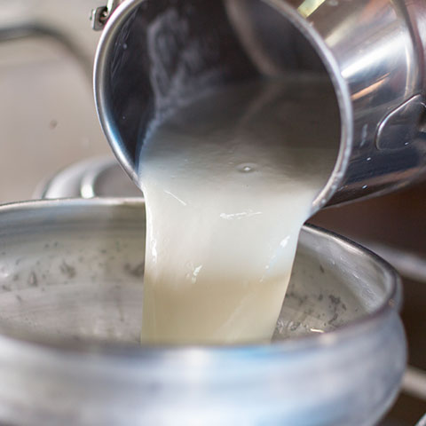 dettaglio processo filtraggio latte
