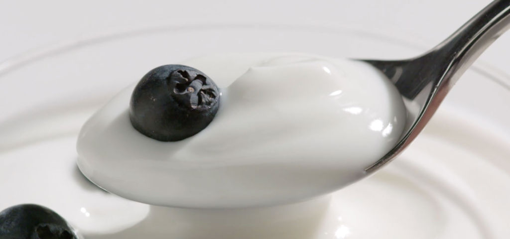Yogurt 1024x480 1