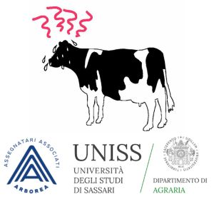 logo-progettti