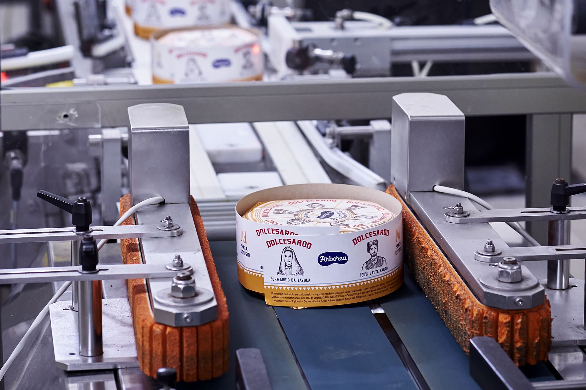 http://arborea.nohup.host/wp-content/uploads/2025/05/progetto-dairy-chain.jpg