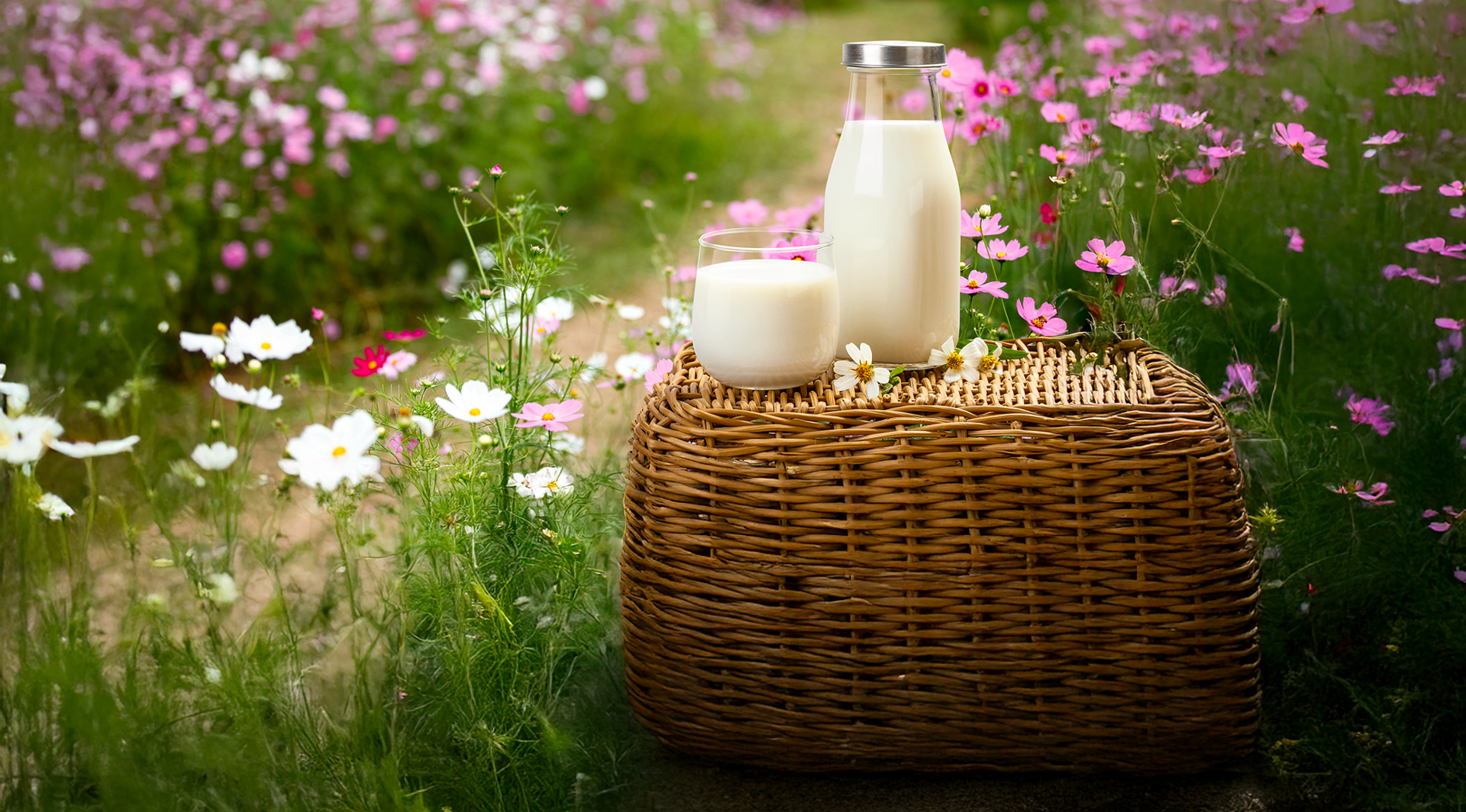 bicchiere e bottiglia di kefir da bere in campo fiorito