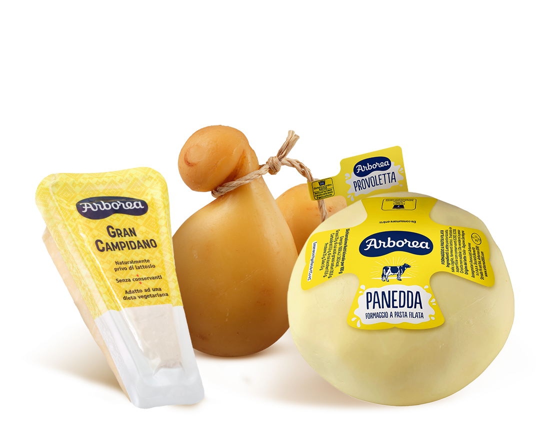Formaggi stagionati