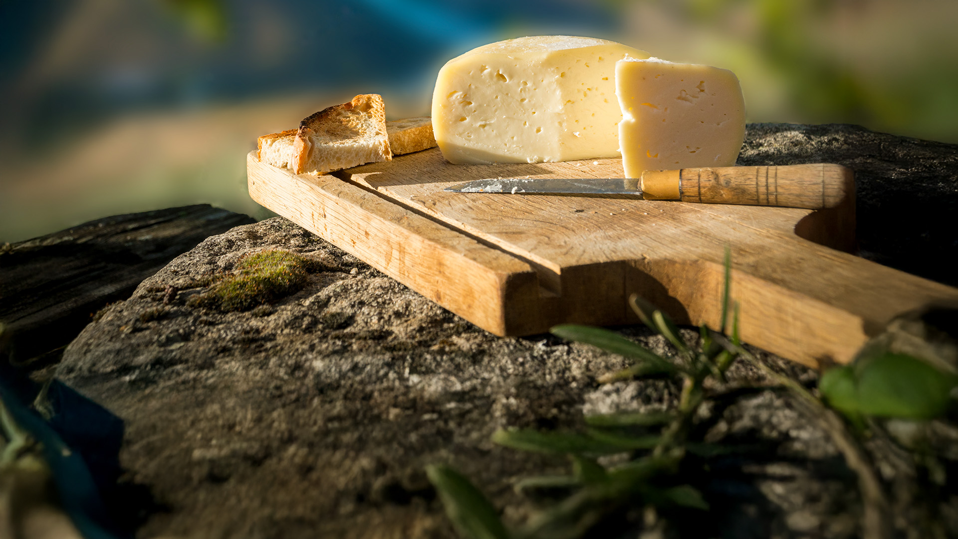 mezza forma di dolcesardo e fetta di dolcesardo su tagliere poggiato su un masso in pietra